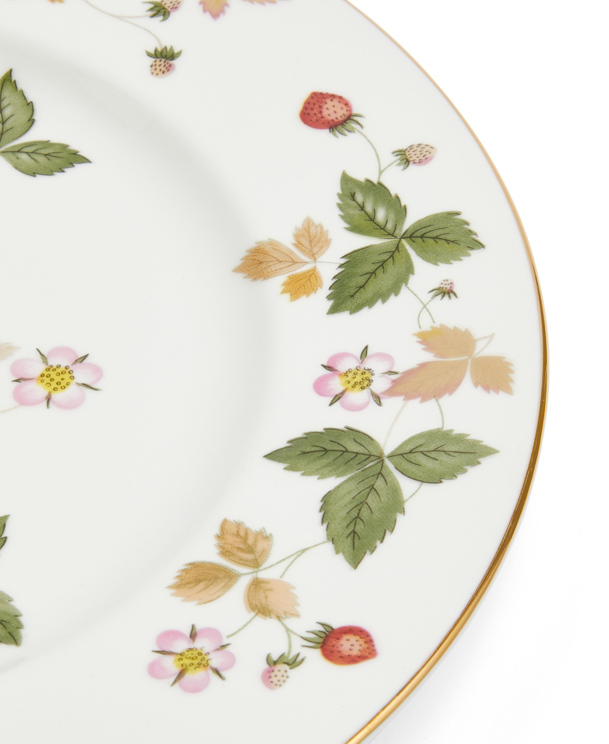 Wedgwood "Wild Strawberry" Dinner Plate, 10.75"
