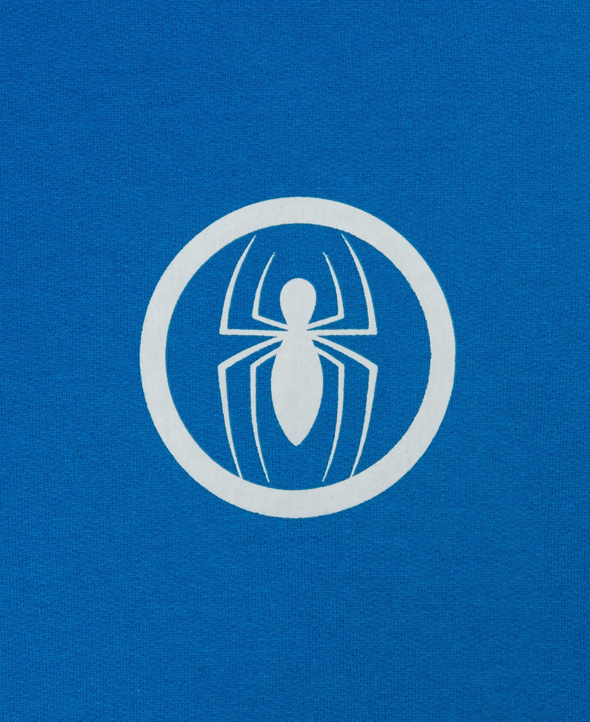 Spider-Man Boys 5-20 Pull-On Hoodie