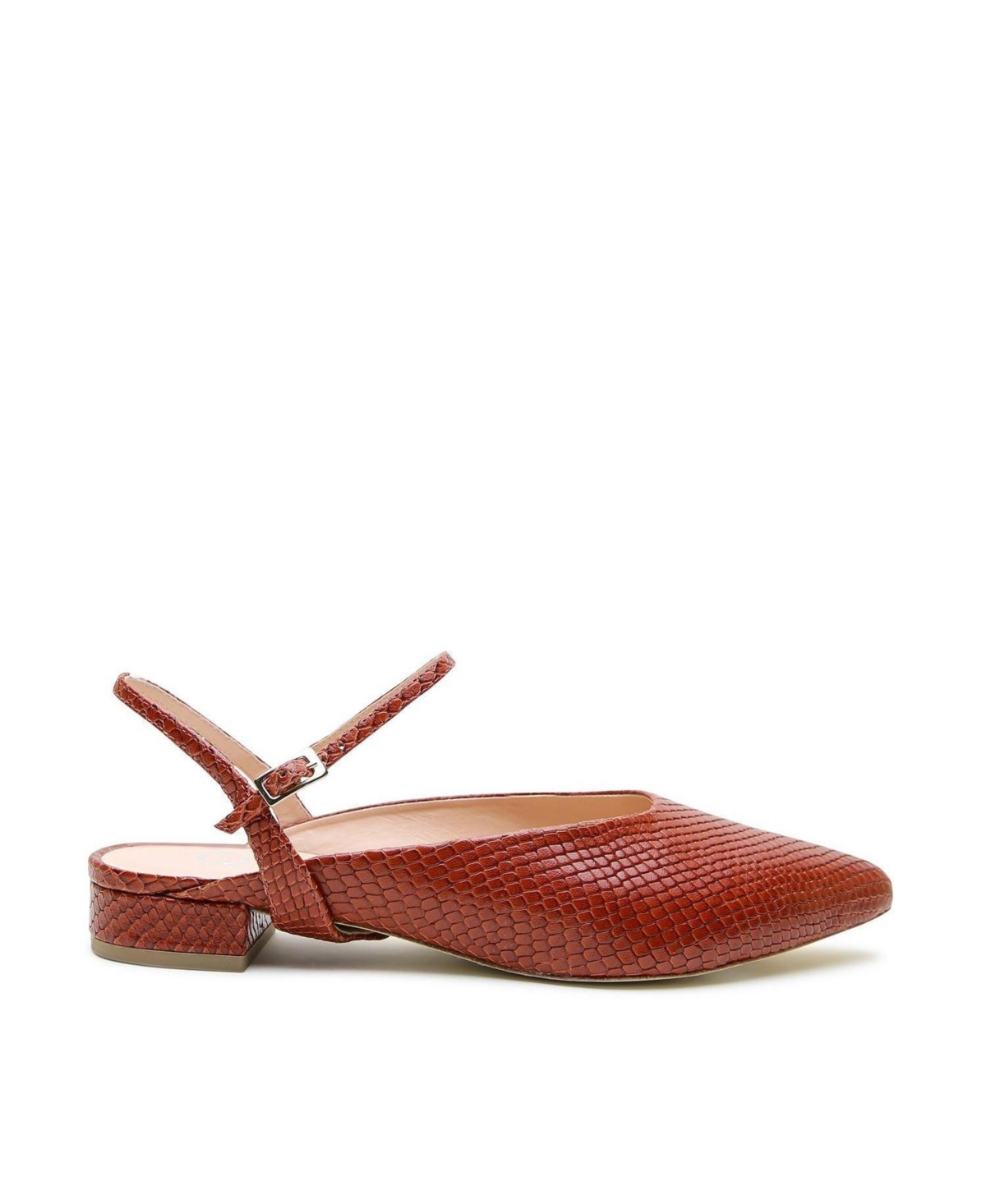 Alterre Women's Brown Snake Amal Customizable Point Slide