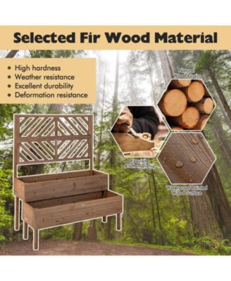 2-Tier Raised Garden Bed with Trellis-Brown
