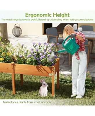 Fir Wood Outdoor Raised Garden Bed with Divider Panel and Drainage Holes-Yellow