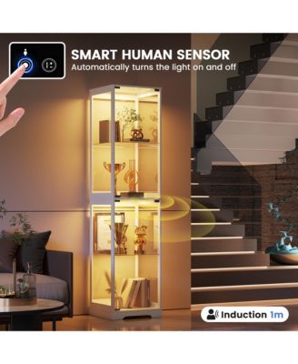 65" Glass Display Cabinet with Doors, Motion LED Light