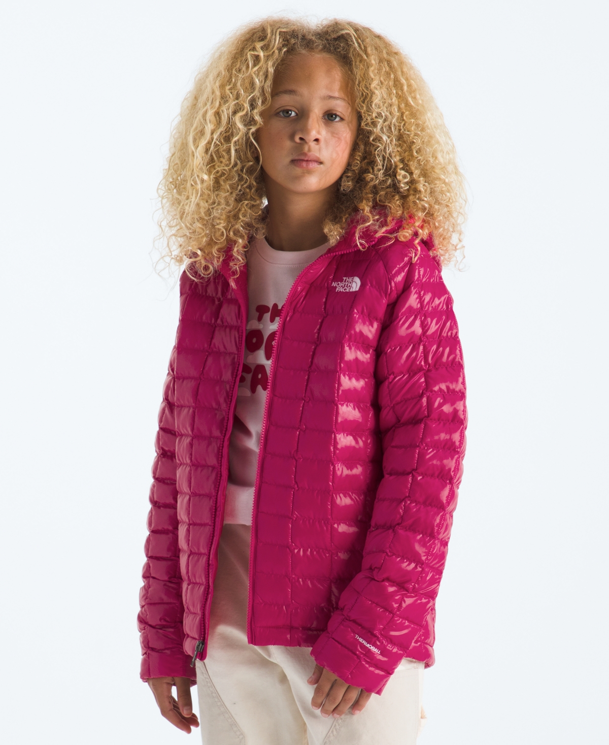 The North Face Boys and Girls Xs-xxl Hooded Jacket