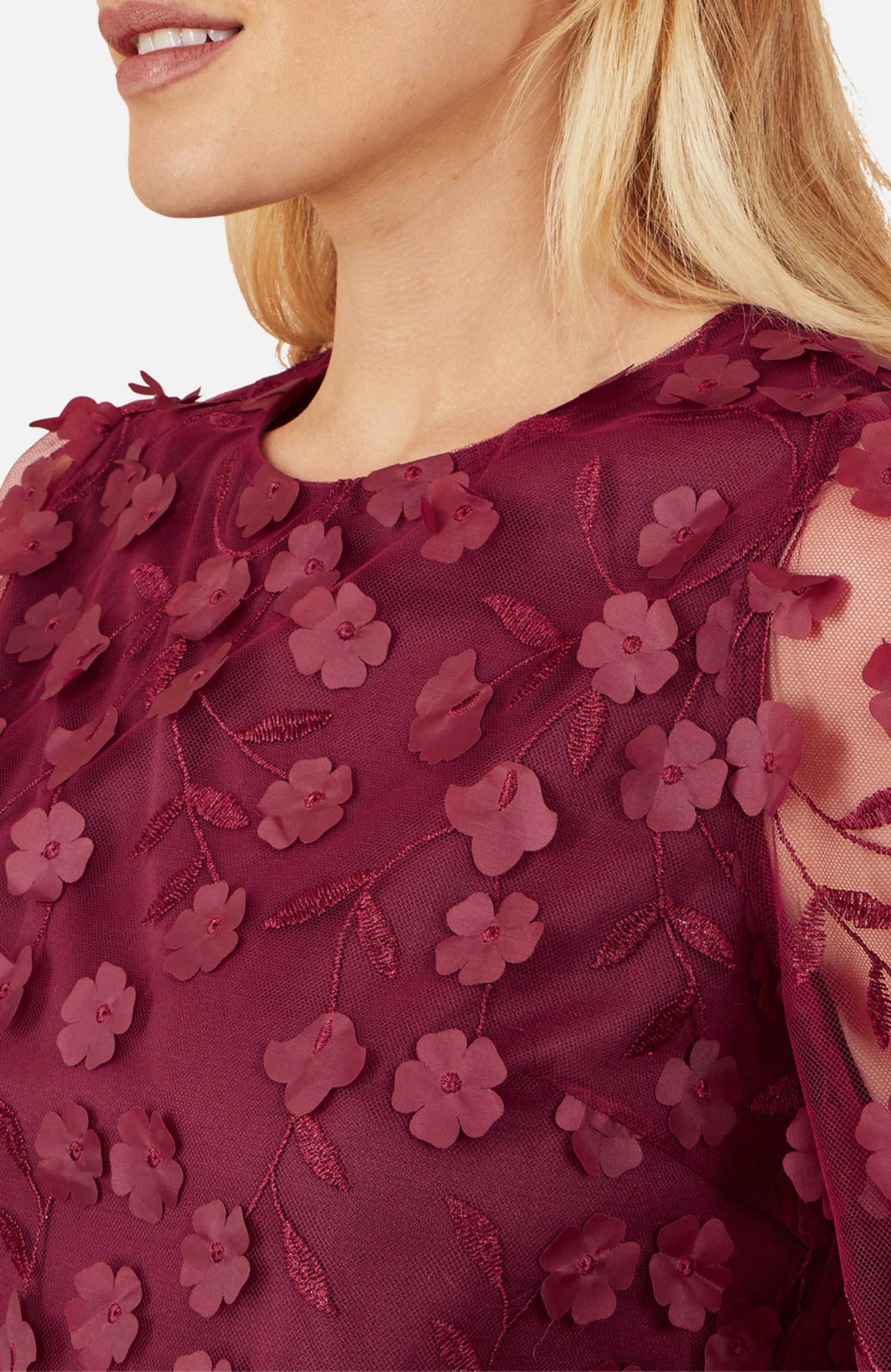 Women's Sheer Sleeve Applique Top