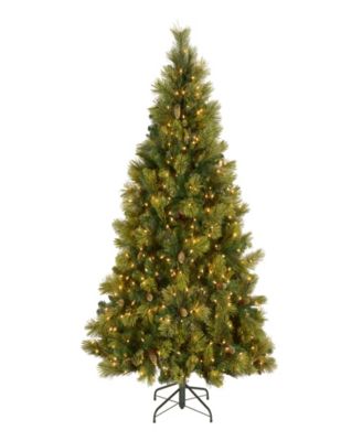 National Tree 6.5' Carolina Pine Tree with 650 Clear Lights