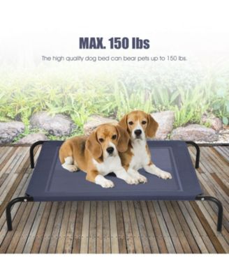 Large Indoor Outdoor Camping Steel Frame Elevated Pet Cot Mat