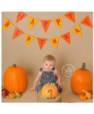 2 Pack Widetone Seamless Background Paper With Microfiber Cleaning Cloth