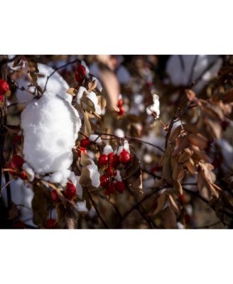 67mm Double-Sided Nano Coating 3-Stop ND8 Filter