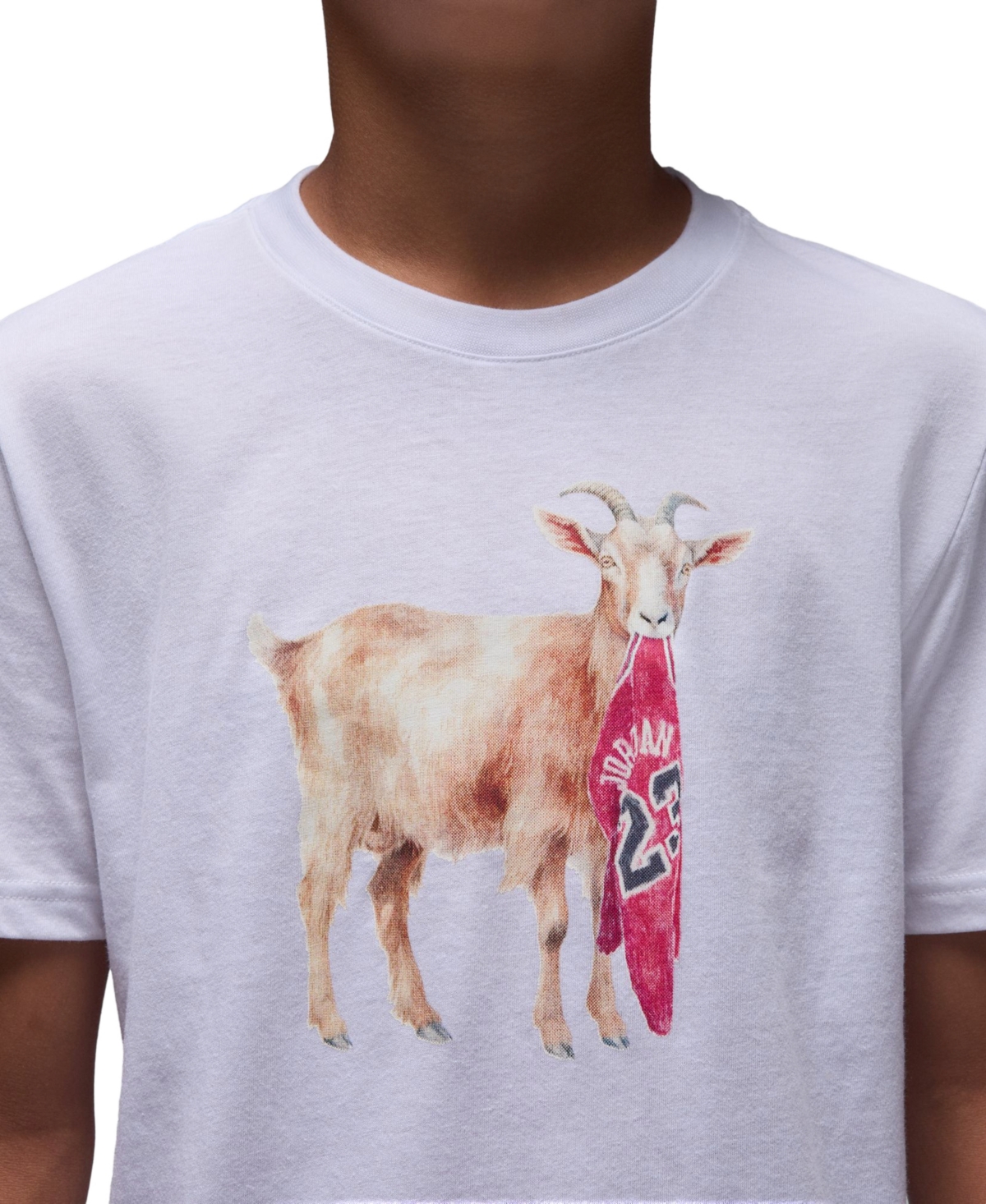 Jordan Boys 8-20 Flight Goat T-Shirt