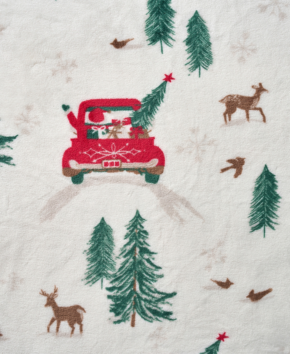Hallmark Santa Printed Plush Throw, 50" x 70"
