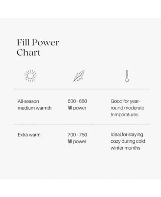 Egyptian Cotton Damask Stripe Down Comforter Lightweight