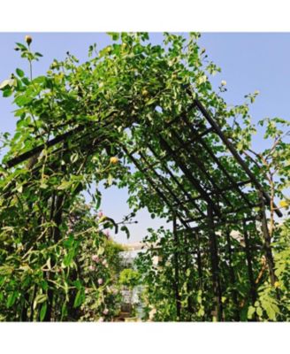 Metal Garden Arch Adjustable Width Black