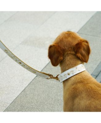 Western Style Full Grain Genuine Leather Dog Leash with Embroidery and Pearl or Turquoise Studs