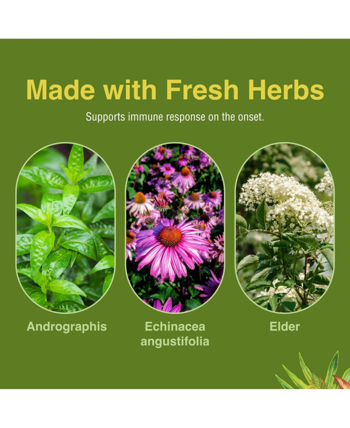 Trace Minerals Herbs Etc. Immune Alert 60 ct. Softgels