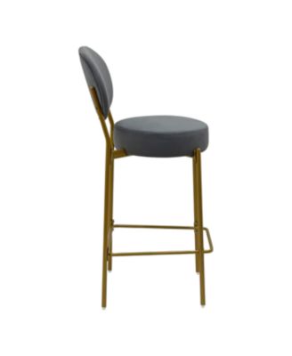 Streamdale Set of 2 Gray Velvet Upholstered Bar Stools with Backrest & Footrest