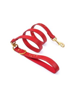 Silver-Powered Freshness Microfiber Suede Dog Collar – Embossed Classic Pattern with Bronze Studs