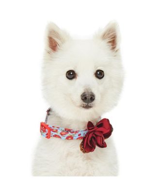 Pet Spring Floral Dog Collar with Removable Camellia Flower Accessory