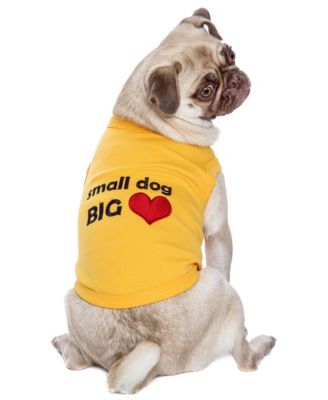 Parisian Pet Small Dog Big Heart