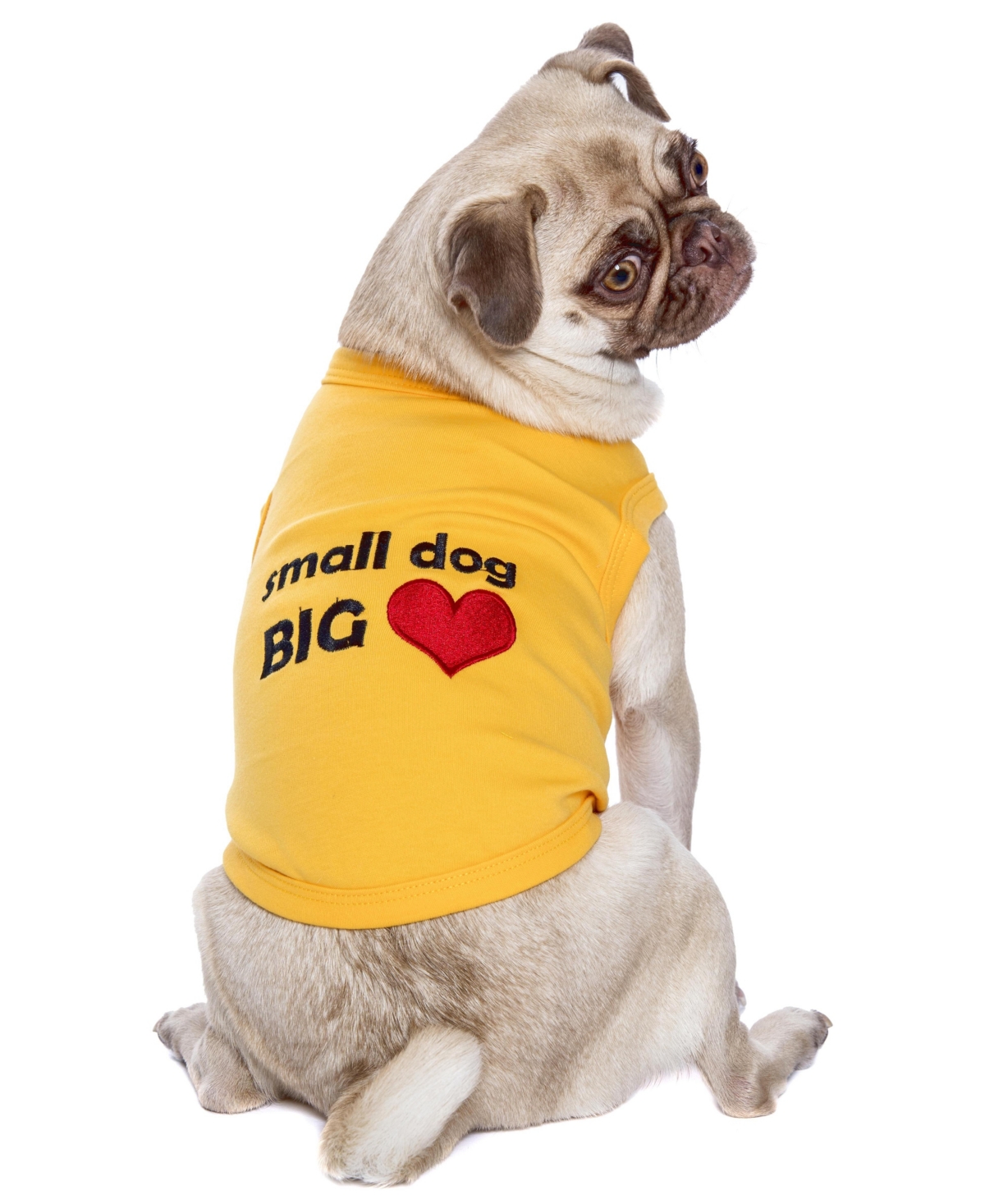 Parisian Pet Small Dog Big Heart