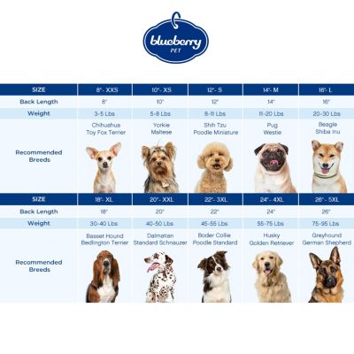 Blueberry Pet Pom-Pom Heart Dog Sweater