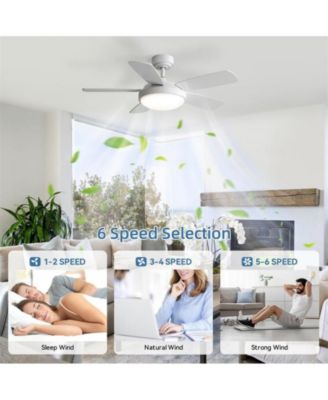 42-inch Modern White 5-Blade Ceiling Fan with Light and Remote Control