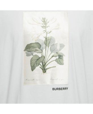 Women's Botanical Sketch Print Applique Cotton T-Shirt