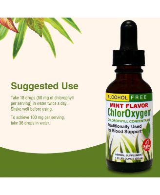 Herbs Etc. ChlorOxygen Mint, 1 FZ