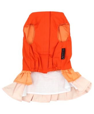 Parisian Pet Dress Color Block Garden