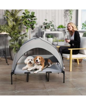 Elevated Dog Bed, Portable Raised Pet Bed with Canopy, Bag, 42"L