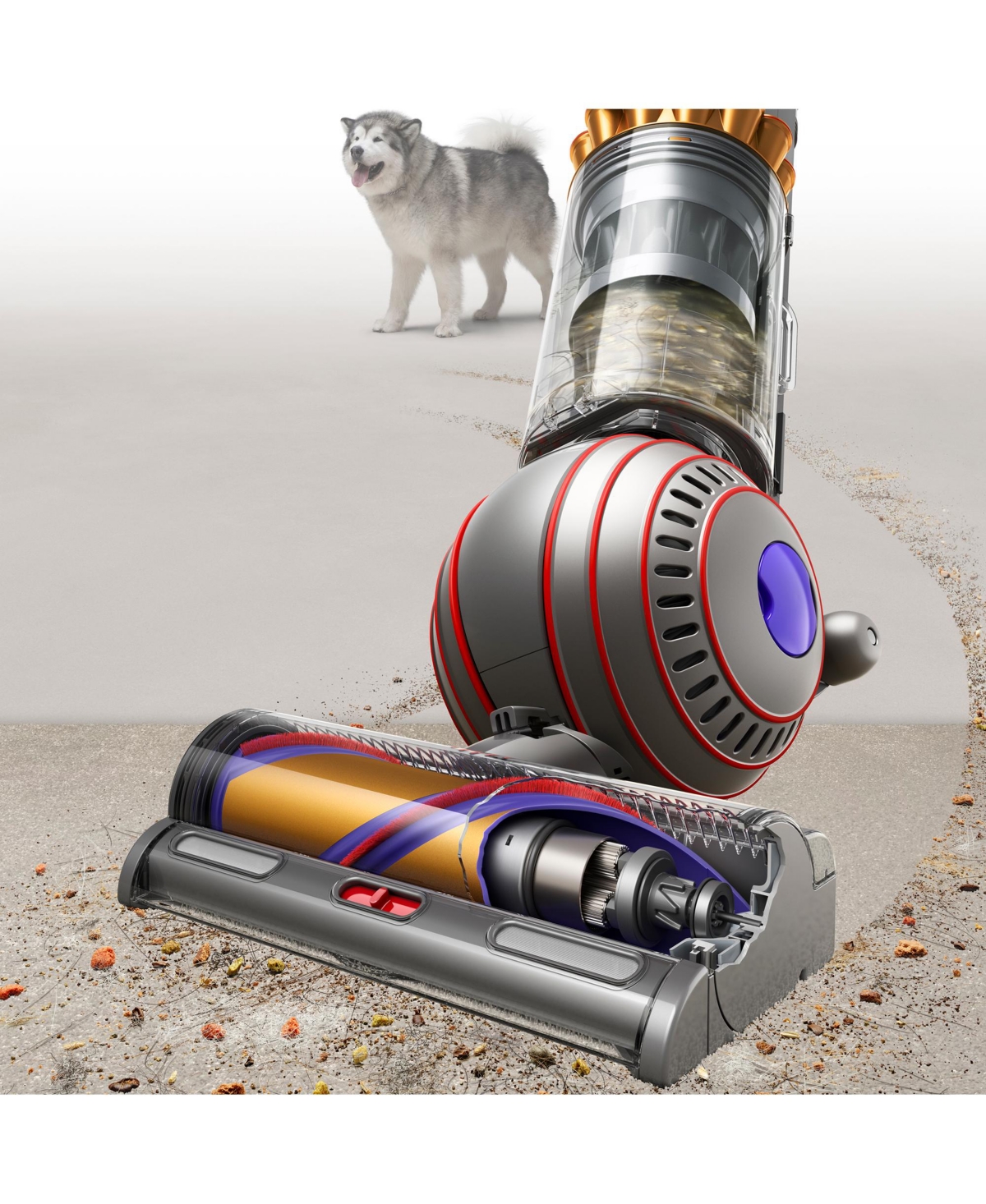 Dyson Ball Animal 3 Complete Upright Vacuum