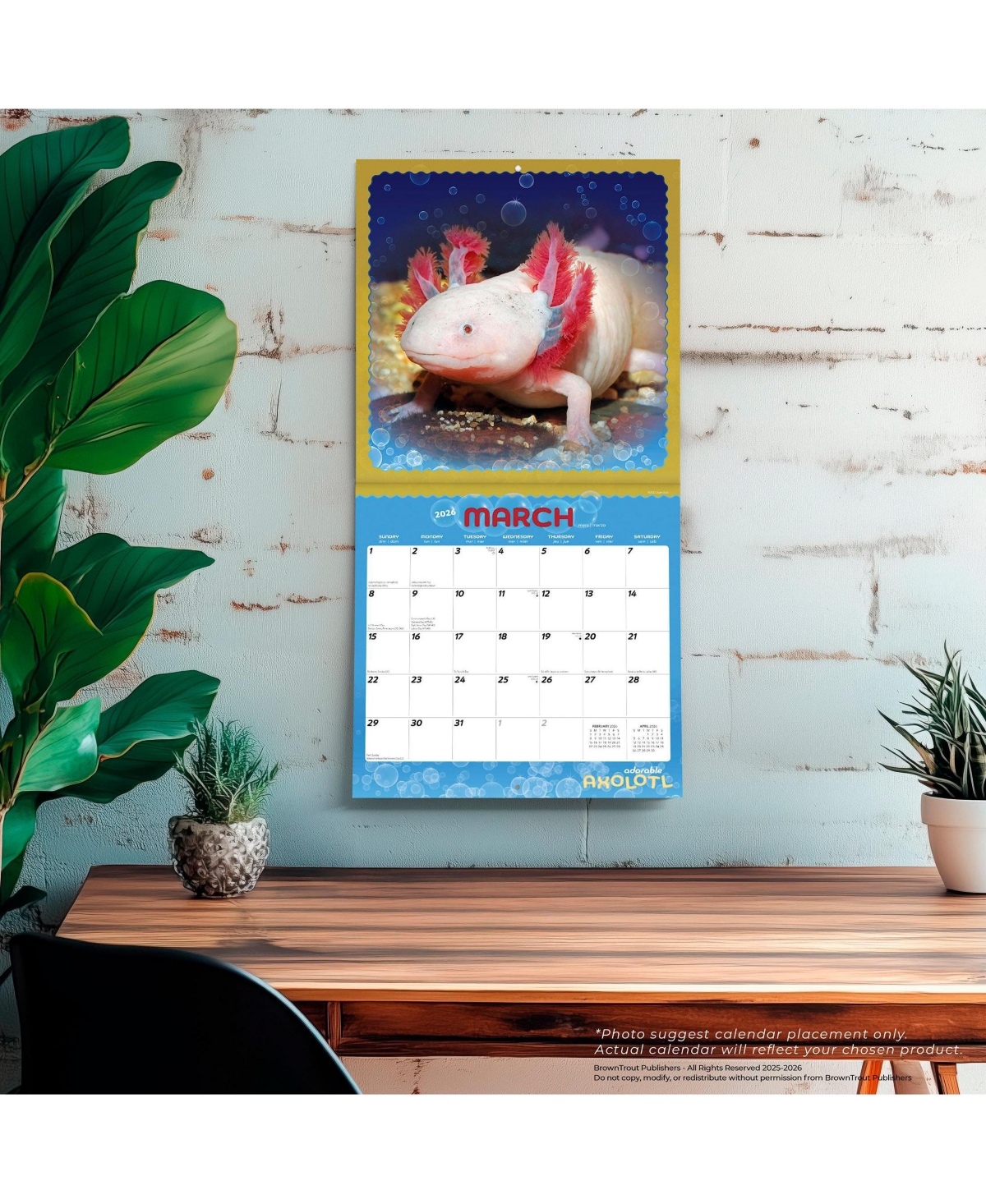 Adorable Axolotl | 2026 12 x 24 Inch (Hanging) Monthly Square Wall Calendar | Plastic-Free