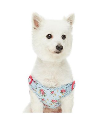 Spring Floral Dog Harness with Chest Protection Panel