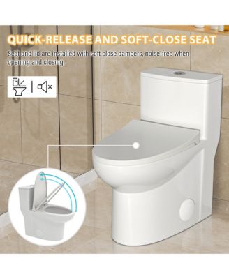 Dual Flush 1.1/1.6 GPF Elongated Bathroom Fixture Comfort Seat Height, Soft-Close Seat,Glazed Surface