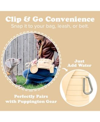 Collapsible Dog Water Bottle