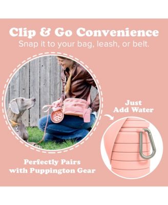 Collapsible Dog Water Bottle