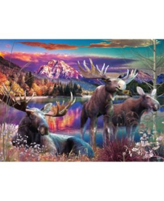 Sunset Pond 1000 piece Jigsaw Puzzle for Adults