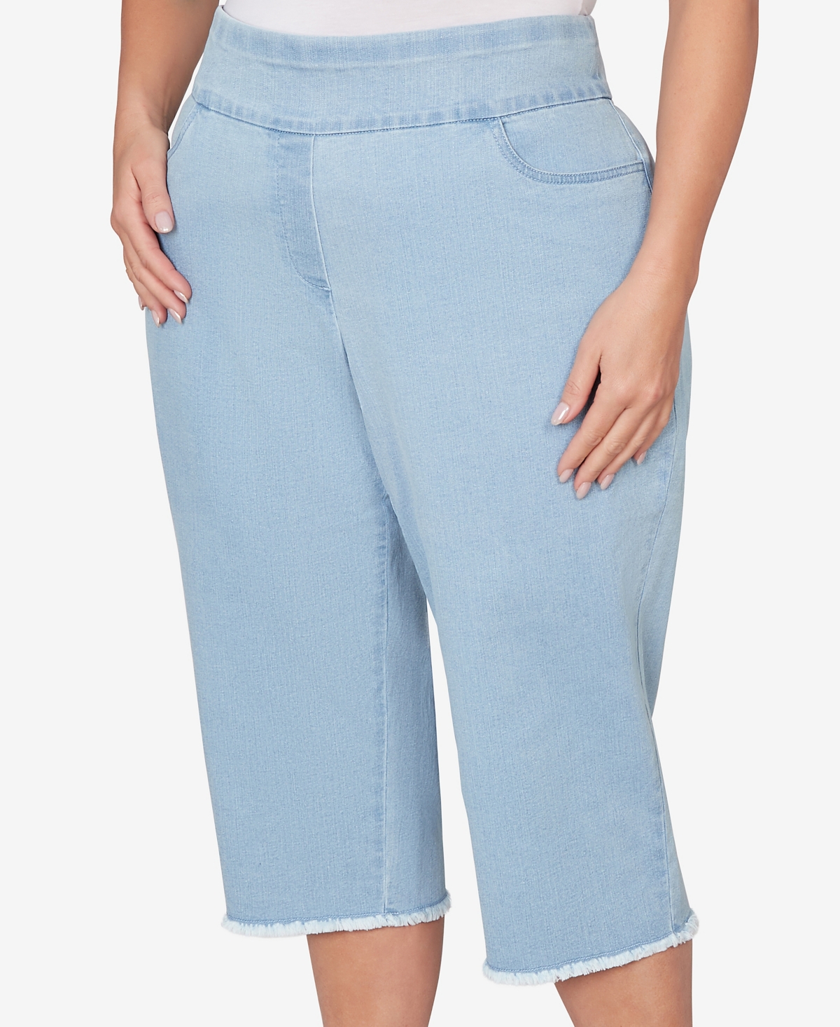 Alfred Dunner Plus Classic Stretch Stripe Clamdigger Capri Pants