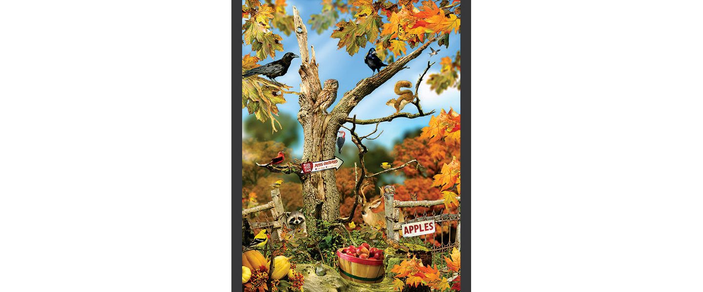 Детский пазл SunsOut Fall Tree 1000 Piece Interlocking Bird-Themed Jigsaw Puzzle, от 15 лет — фото 3