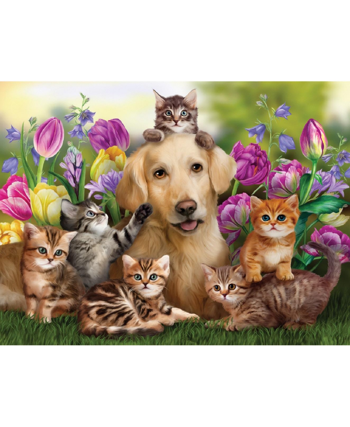 SunsOut KItty Sitting 300 piece Jigsaw Puzzle for Adults