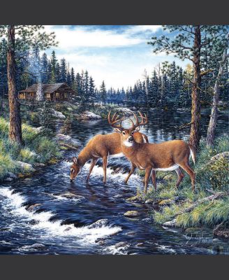 Peaceful Morning 500 piece Jigsaw Puzzle for Adults