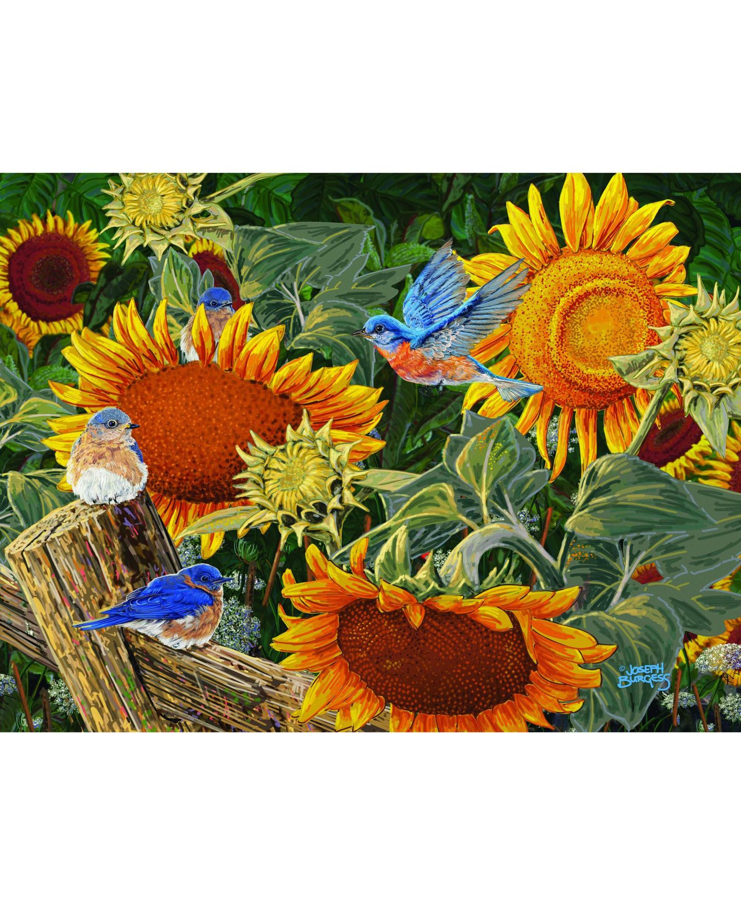 Детский пазл SunsOut Sunflower Patch 300 Piece Jigsaw Puzzle, от 15 лет — фото 4