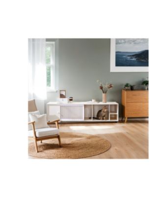 Style Cat TV Stand With Storage and Removable sliding door