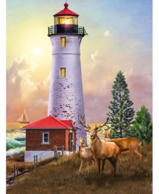 Crisp Point Lighthouse 500 piece Jigsaw Puzzle for Adults