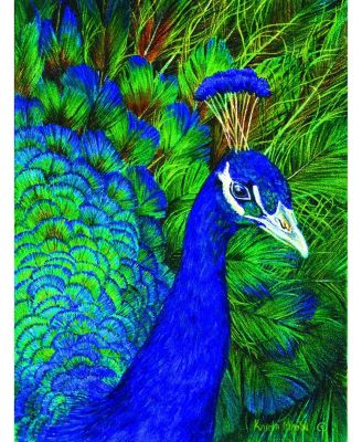 Peacock 1000 piece Jigsaw Puzzle for Adults