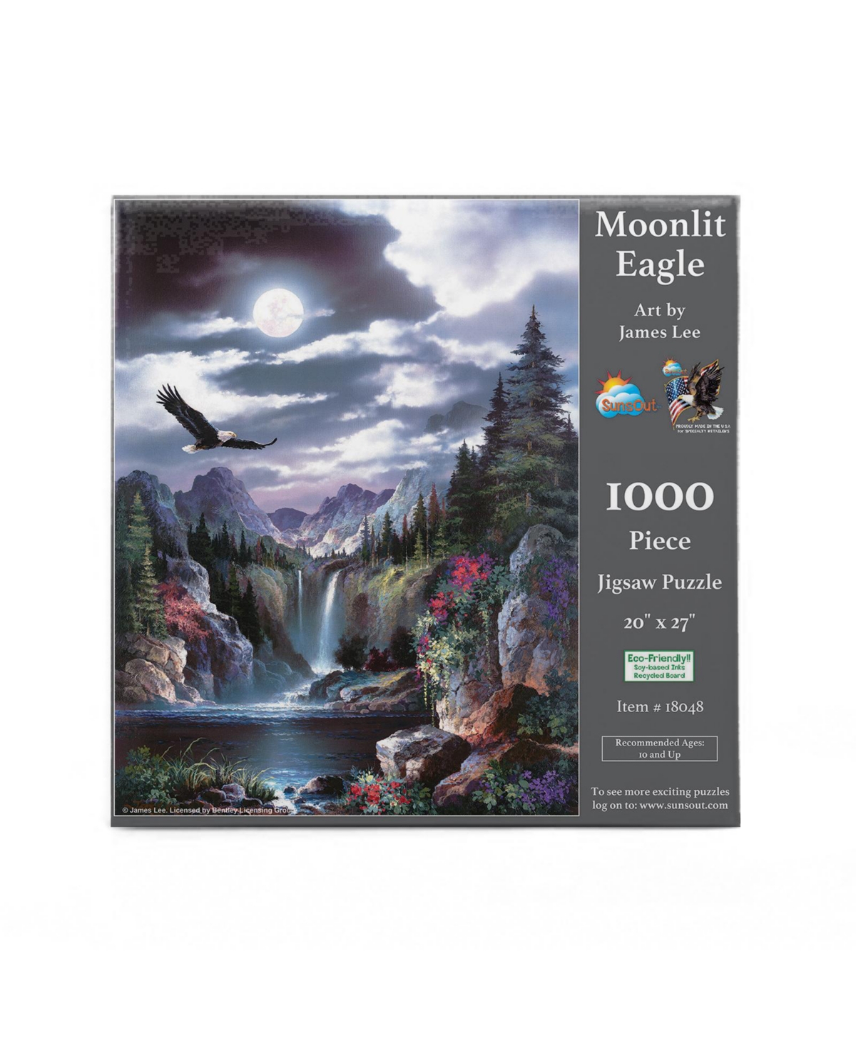SunsOut Moonlit Eagle 1000 piece Jigsaw Puzzle for Adults
