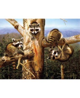 Balancing Act 300 piece Jigsaw Puzzle for Adults