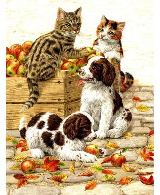 Box of Apples 500 piece Jigsaw Puzzle for Adults