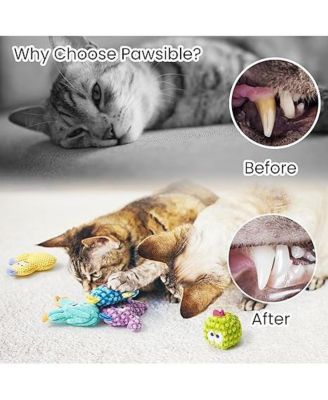 5 Pack Cactus Catnip Toys, 100% Organic Catnip Toys for Indoor Cats, Interactive Plush Chew Fun Without Cotton,