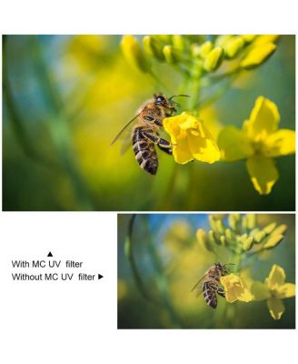 40.5mm C Series Blue MCUV Filter