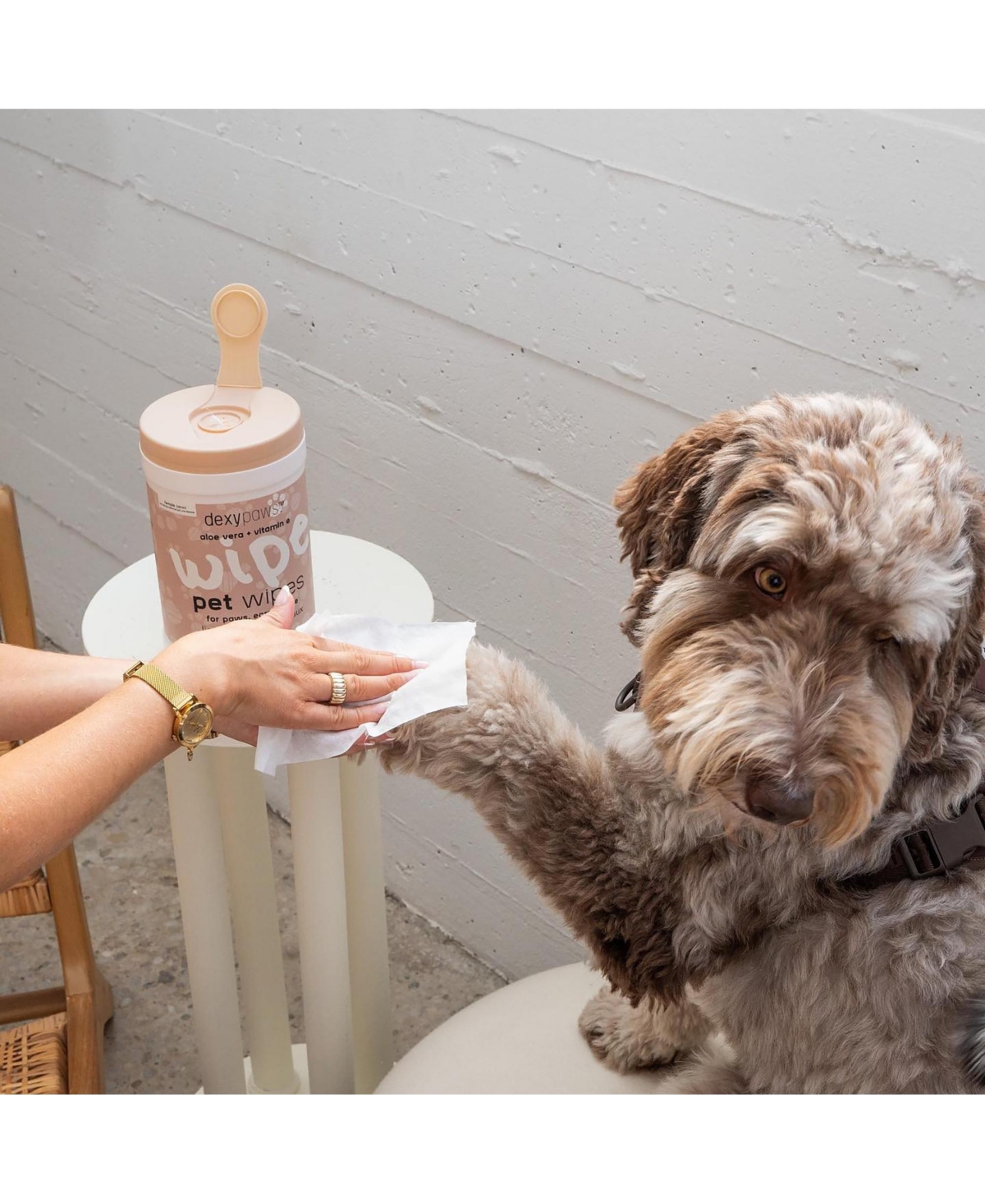 Dexypaws Pet Wipes: Lavender